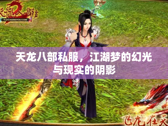 天龙八部私服，江湖梦的幻光与现实的阴影