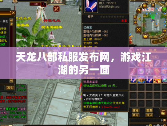 天龙八部私服发布网，游戏江湖的另一面