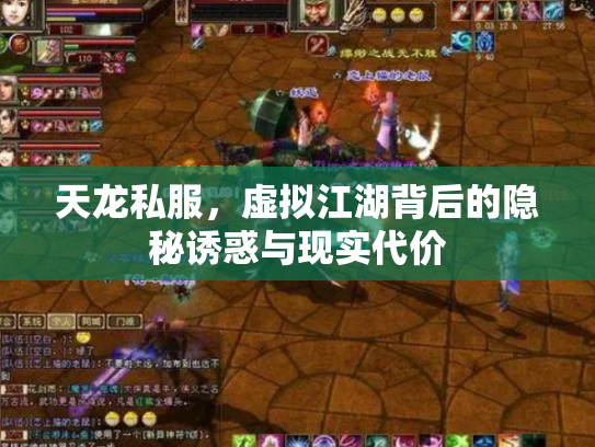 天龙私服，虚拟江湖背后的隐秘诱惑与现实代价
