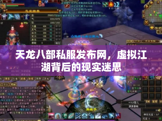 天龙八部私服发布网，虚拟江湖背后的现实迷思