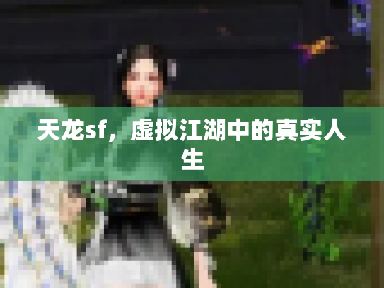天龙sf，虚拟江湖中的真实人生