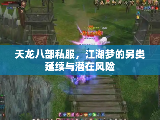 天龙八部私服，江湖梦的另类延续与潜在风险