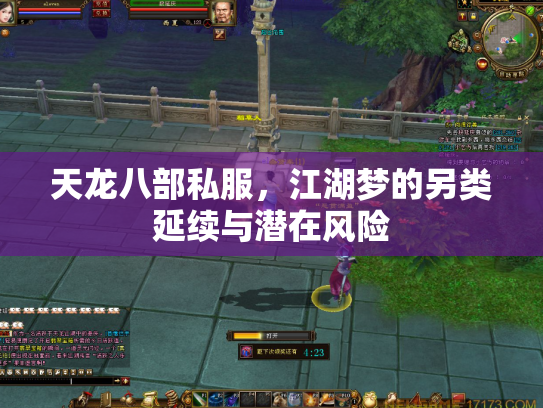 天龙八部私服，江湖梦的另类延续与潜在风险