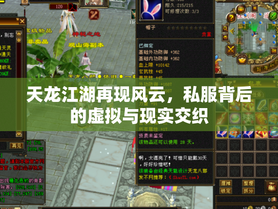 天龙江湖再现风云，私服背后的虚拟与现实交织