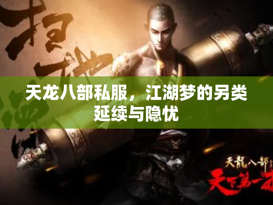 天龙八部私服，江湖梦的另类延续与隐忧