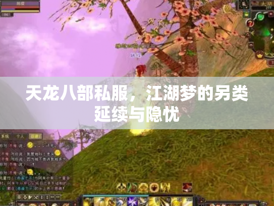天龙八部私服，江湖梦的另类延续与隐忧
