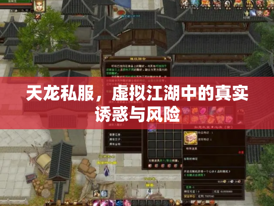 天龙私服，虚拟江湖中的真实诱惑与风险