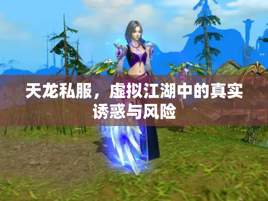 天龙私服，虚拟江湖中的真实诱惑与风险