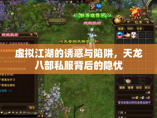 虚拟江湖的诱惑与陷阱，天龙八部私服背后的隐忧
