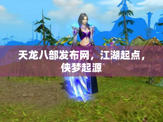 天龙八部发布网，江湖起点，侠梦起源
