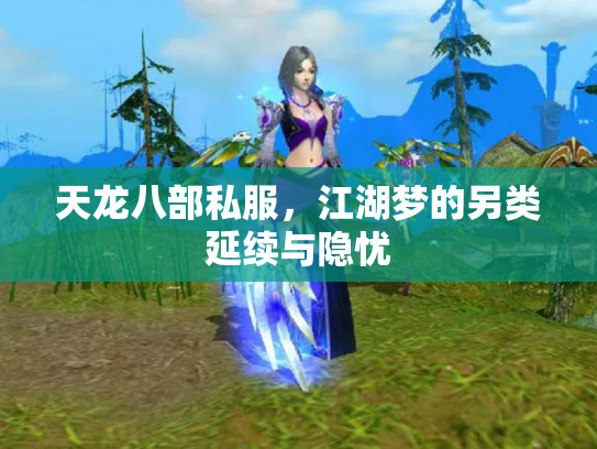 天龙八部私服，江湖梦的另类延续与隐忧