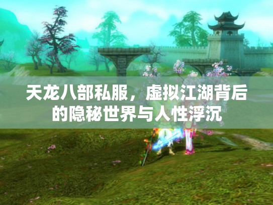 天龙八部私服，虚拟江湖背后的隐秘世界与人性浮沉