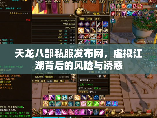 天龙八部私服发布网，虚拟江湖背后的风险与诱惑