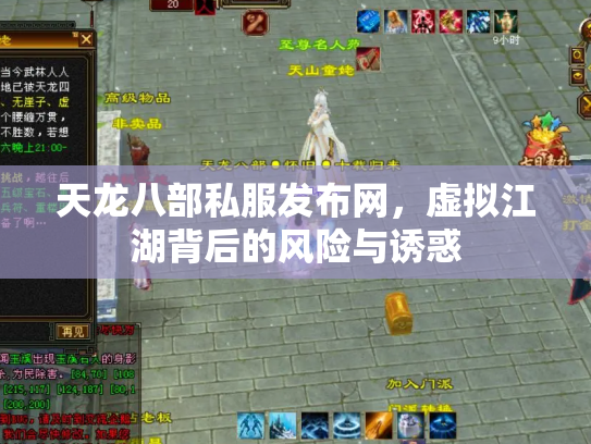 天龙八部私服发布网，虚拟江湖背后的风险与诱惑