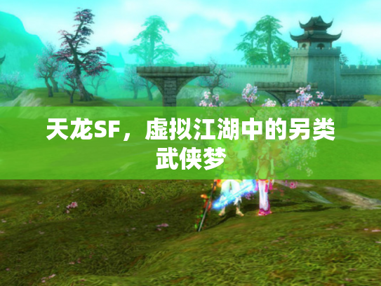 天龙SF，虚拟江湖中的另类武侠梦