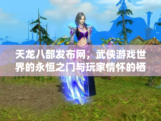 天龙八部发布网，武侠游戏世界的永恒之门与玩家情怀的栖息地