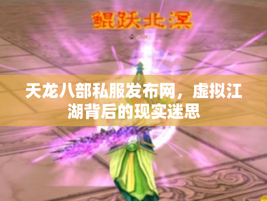 天龙八部私服发布网，虚拟江湖背后的现实迷思