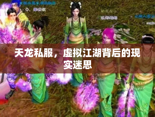天龙私服，虚拟江湖背后的现实迷思