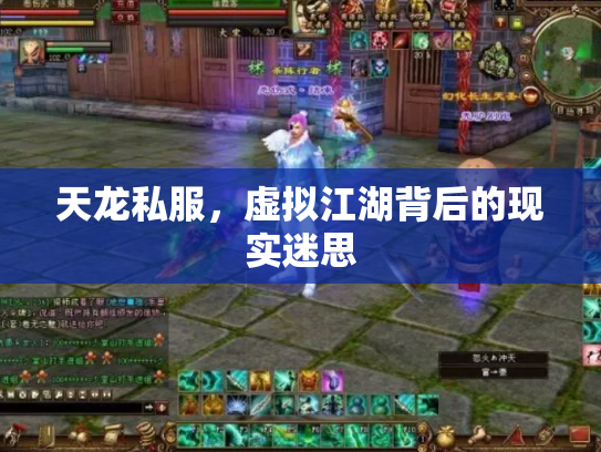 天龙私服，虚拟江湖背后的现实迷思