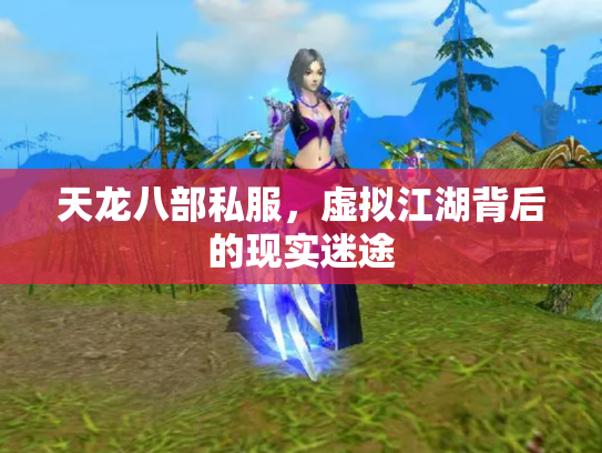 天龙八部私服，虚拟江湖背后的现实迷途