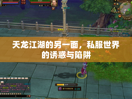 天龙江湖的另一面，私服世界的诱惑与陷阱