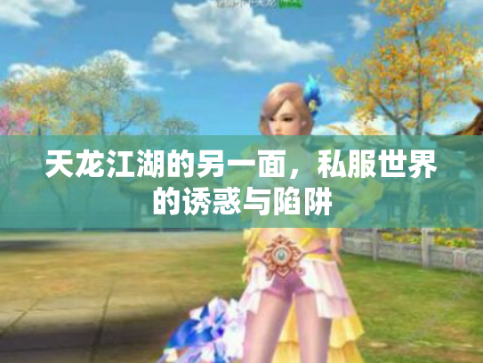 天龙江湖的另一面，私服世界的诱惑与陷阱