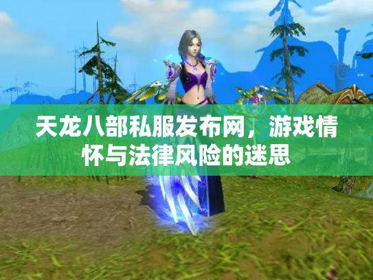 天龙八部私服发布网，游戏情怀与法律风险的迷思