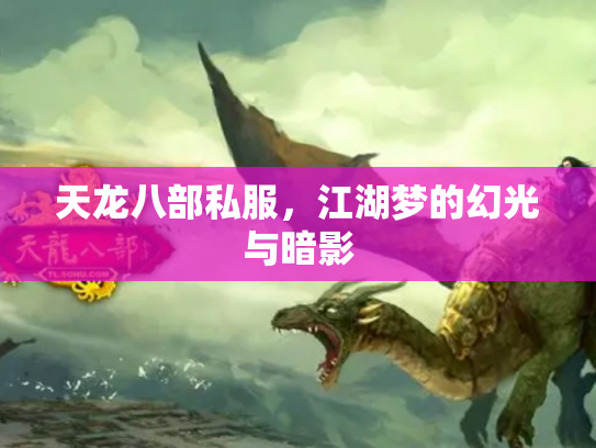 天龙八部私服，江湖梦的幻光与暗影