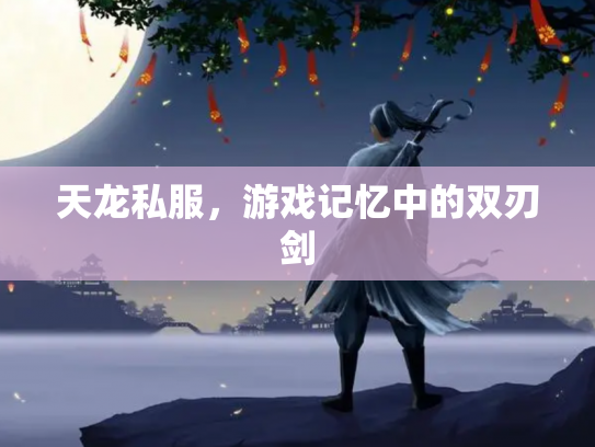 天龙私服，游戏记忆中的双刃剑