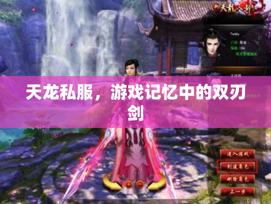 天龙私服，游戏记忆中的双刃剑