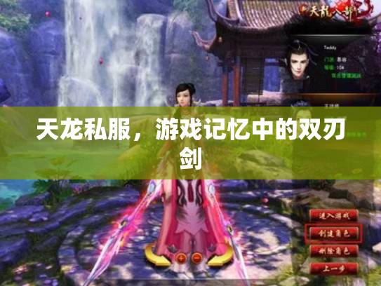 天龙私服，游戏记忆中的双刃剑