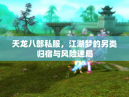 天龙八部私服，江湖梦的另类归宿与风险迷局