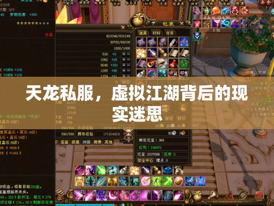 天龙私服，虚拟江湖背后的现实迷思