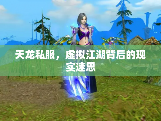 天龙私服，虚拟江湖背后的现实迷思