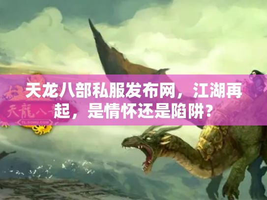 天龙八部私服发布网，江湖再起，是情怀还是陷阱？