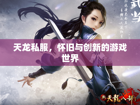 天龙私服，怀旧与创新的游戏世界