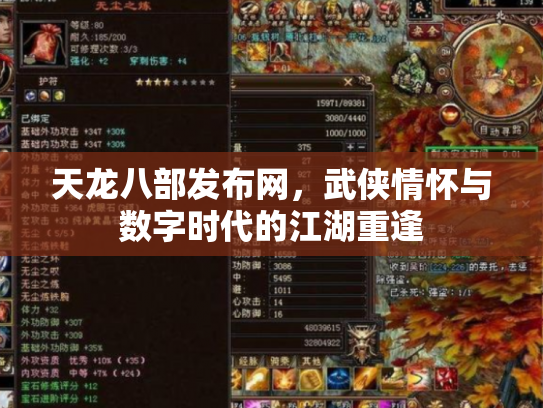 天龙八部发布网，武侠情怀与数字时代的江湖重逢