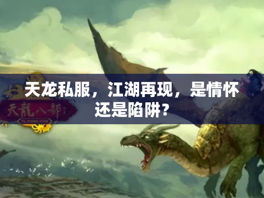 天龙私服，江湖再现，是情怀还是陷阱？