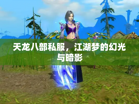 天龙八部私服，江湖梦的幻光与暗影