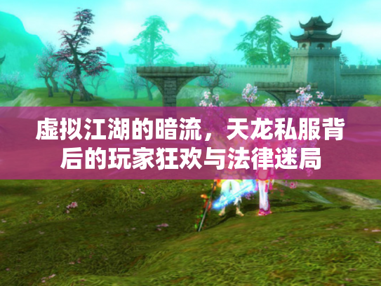 虚拟江湖的暗流，天龙私服背后的玩家狂欢与法律迷局