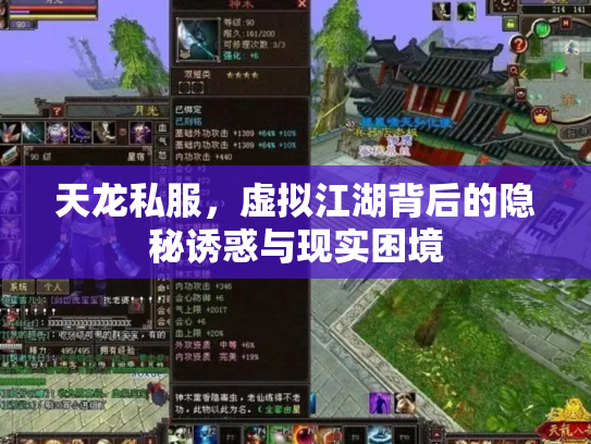 天龙私服，虚拟江湖背后的隐秘诱惑与现实困境