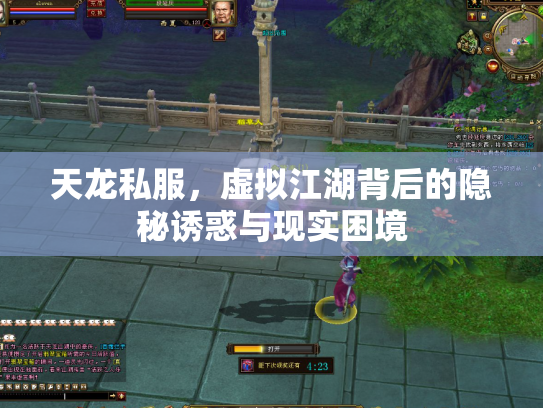 天龙私服，虚拟江湖背后的隐秘诱惑与现实困境