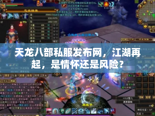 天龙八部私服发布网，江湖再起，是情怀还是风险？