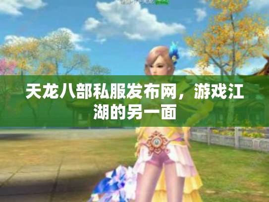 天龙八部私服发布网，游戏江湖的另一面