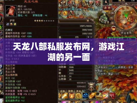 天龙八部私服发布网，游戏江湖的另一面