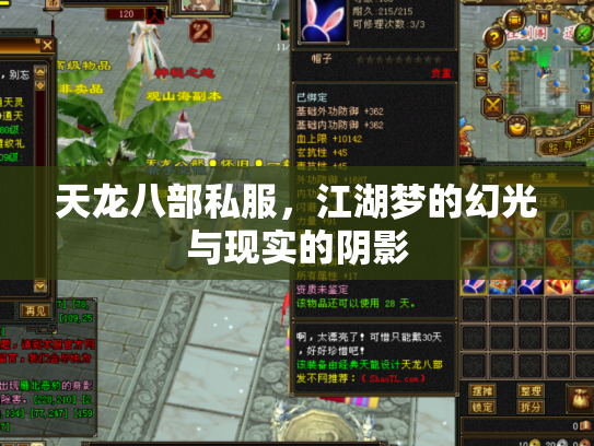 天龙八部私服，江湖梦的幻光与现实的阴影