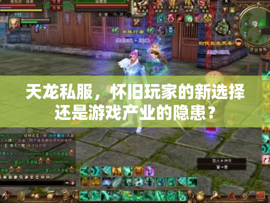 天龙私服，怀旧玩家的新选择还是游戏产业的隐患？
