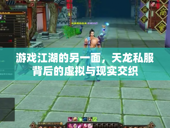 游戏江湖的另一面，天龙私服背后的虚拟与现实交织