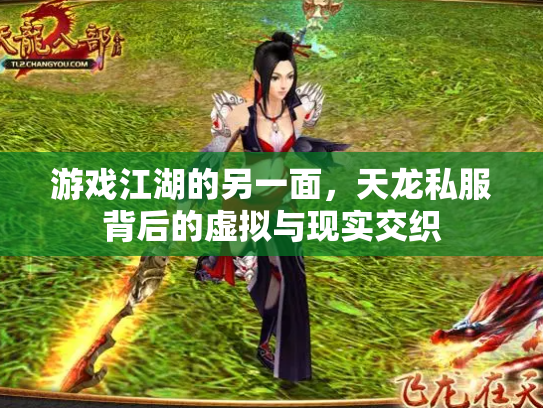游戏江湖的另一面，天龙私服背后的虚拟与现实交织