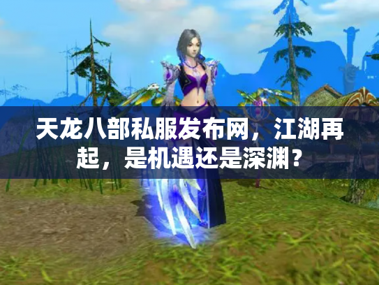 天龙八部私服发布网，江湖再起，是机遇还是深渊？